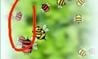 Bugs Circle