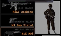 Cross Fire: War on TerrorismII