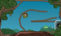 Doctor Acorn