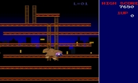 Donkey Kong Craze