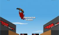 Extreme Taz Skateboard Halfpipe