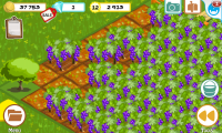 Farm Story