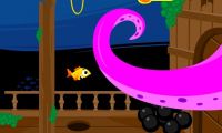 Fifish