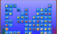 Fish Connect