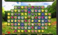 Flower Puzzle