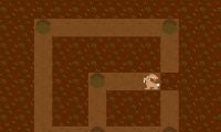 Hare's Harvest