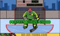 Hockey - Suburban Goalie
