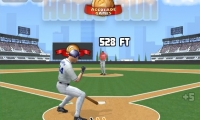Home Run Hitter
