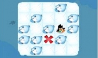 Ice Floe