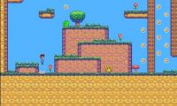Ninja Training Worlds