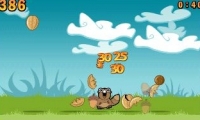 Noogra Nuts