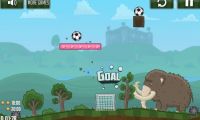 Score the Goal