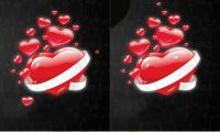 Two halves. Spot the Difference