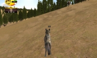 Wolf Quest