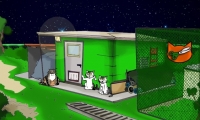 A Cat's Night