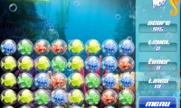 Aqua Pop