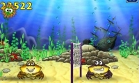 Beach Ball Crab Mayhem