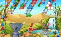 Bubble Bee Bear