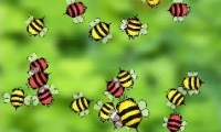 Bugs Circle