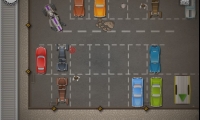 Car Thief