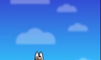 Cat Jump