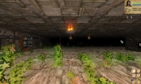 Deepfall Dungeon