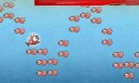 Dodging Fish