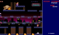 Donkey Kong Craze