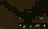 Frog Dares