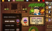 Fruit Ninja Frenzy