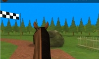 Horse Jumping Challenge