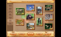 Jigsaw World