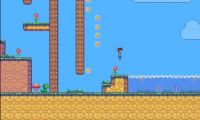 Ninja Training Worlds