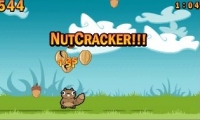 Noogra Nuts
