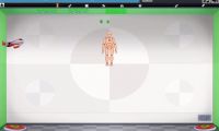 Ragdoll Achievement 2