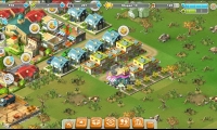 Rising Cities