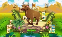 Safari