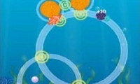 Speedy Fish