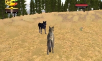 Wolf Quest