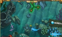 Zippy Fish