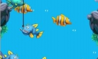 Bear Fishing