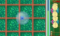 Bug Blaster