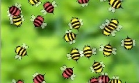 Bugs Circle