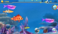 Fish Predator