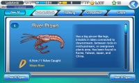 Fishing Superstars