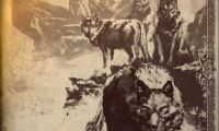 Joe Dever's Lone Wolf