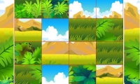 Safari
