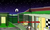 A Cat's Night