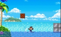 Crash Bandicoot Tiki Quest