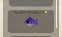 Panda Fishing